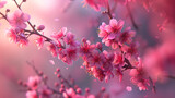 Close up of pink flowers on a tree