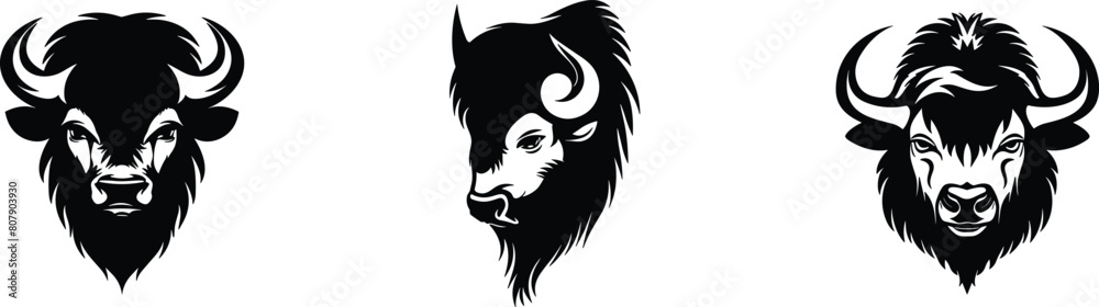 Obraz premium Set of angry bull head, vector illustration.