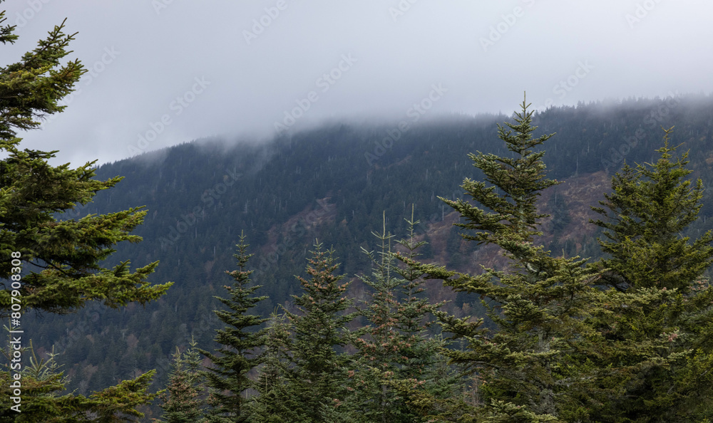 Obraz premium Great Smoky Mountains with low clouds