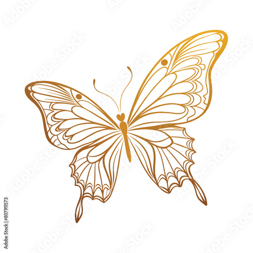 Beautiful gold outline butterfly, vector illustration
