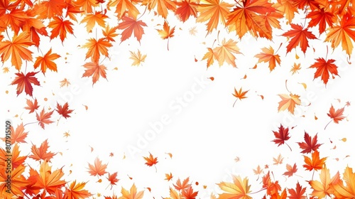 illustration of maple leaves on a isolated background  with a red maple leaf on the left  a white maple leaf in the center  and a green maple leaf on the right