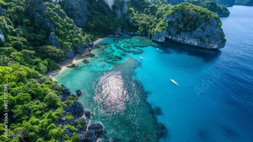 Aerial view of a secluded cove with crystal-clear turquoise water  fringed by lush greenery and dramatic cliffs