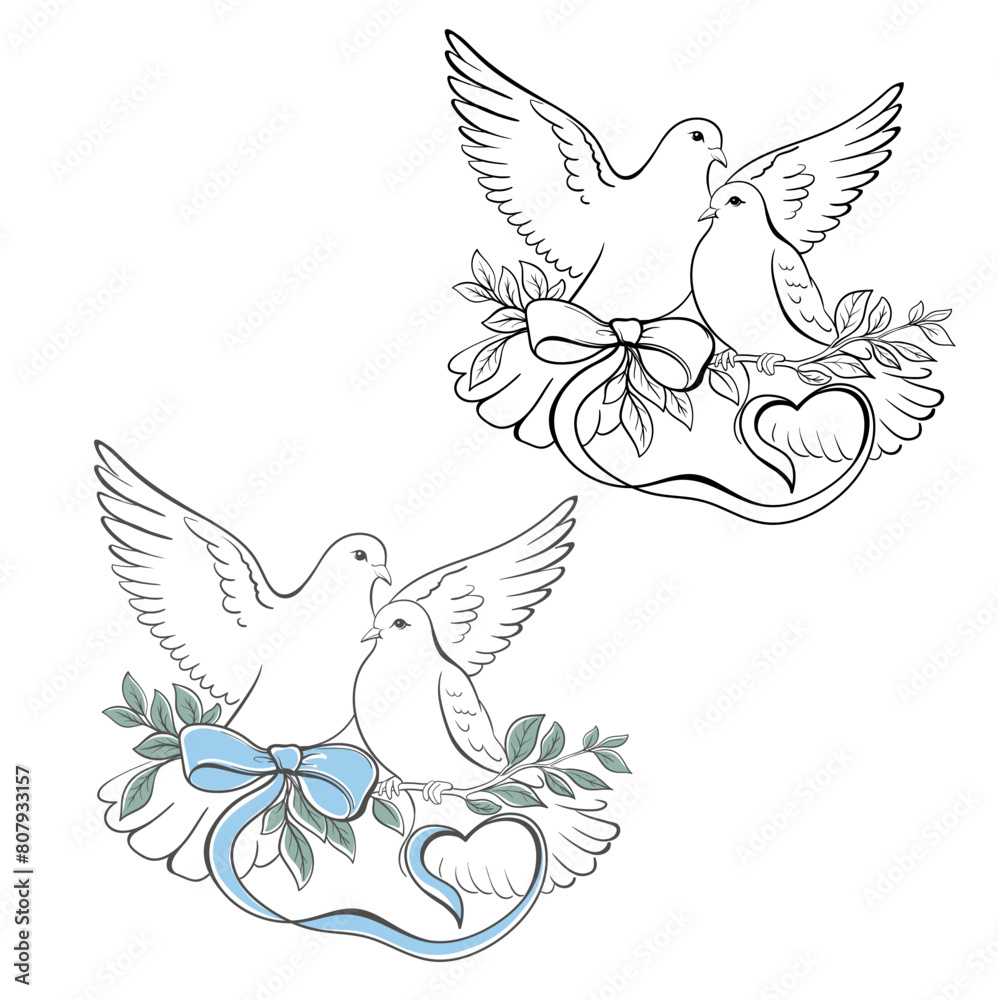 Two white doves pigeons in love, couple of doves on a green branch with a blue bow. Monochrome black illustration on transparent background Two white doves pigeons in love, couple of doves on a green branch with a blue bow. Monochrome black illustration on transparent background