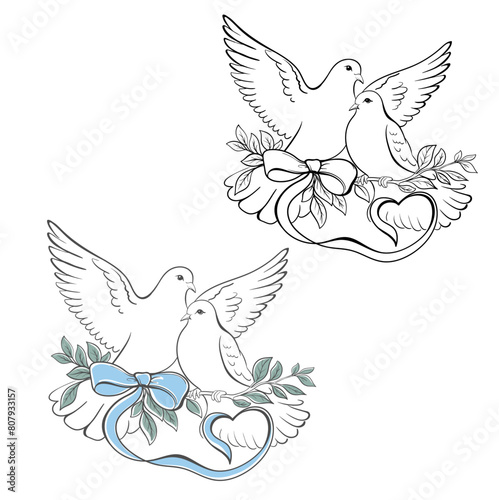 Two white doves pigeons in love, couple of doves on a green branch with a blue bow. Monochrome black illustration on transparent background