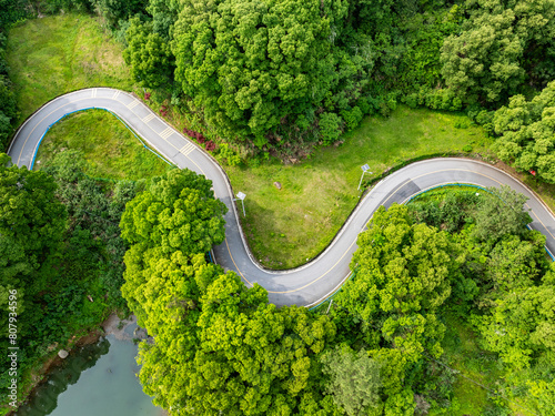 Overview of green bamboo forest and winding mountain road © hrui