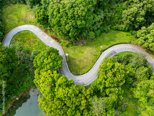 Overview of green bamboo forest and winding mountain road