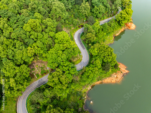 Overview of green bamboo forest and winding mountain road