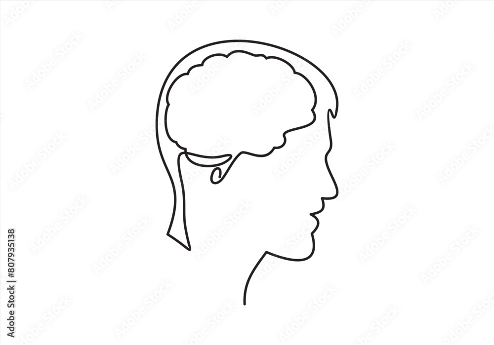Human head with brain icon, brain symbol in line style isolated on white background, vector illustration. Human head with brain icon, brain symbol in line style isolated on white background, vector illustration.