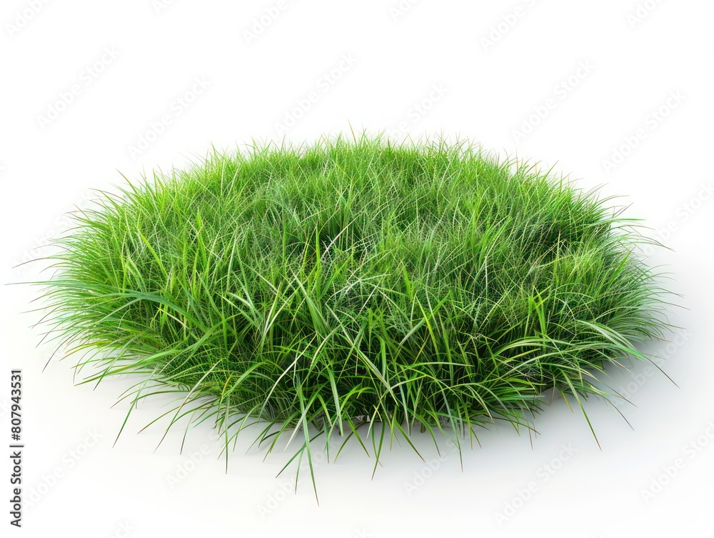 round piece of grass laying flat on white background