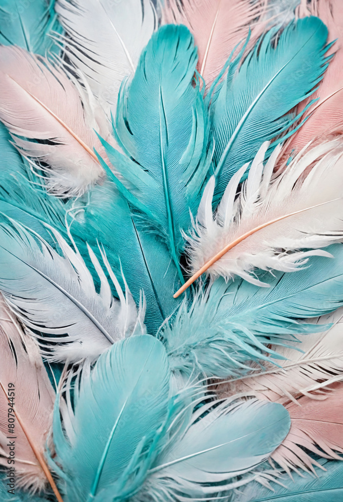 Background of soft and blurred feathers in beautiful colors Background of soft and blurred feathers in beautiful colors