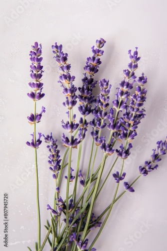  lavender sprigs flowers