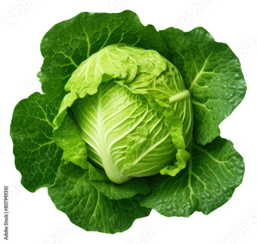 PNG  Cabbage vegetable green plant.
