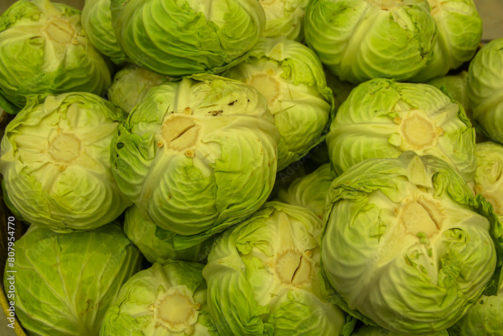 close up of cabbage in market close up of cabbage in market