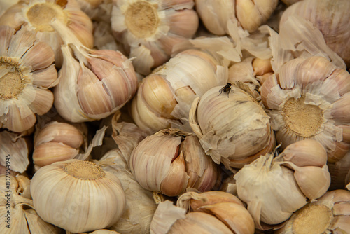 dry garlic in market for cooking