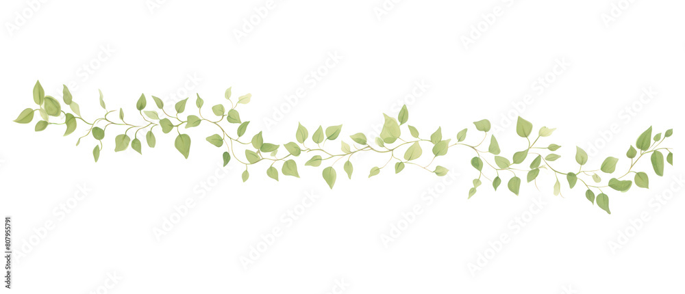 PNG Green vine as line watercolour illustration backgrounds pattern plant.