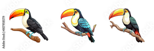 Tropical toucan set. Cartoon vector.