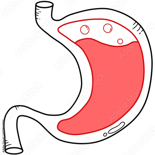 stomach created by simple line drawing photo