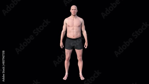 3D animation demonstrating body transformation from thin to muscular, promoting the benefits of fitness exercises for physical enhancement.