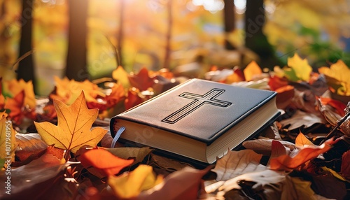 The Bible nestled amond colorful autumn leaves. photo