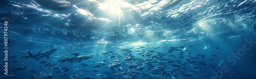 Sharks prey on a school of sardines in the open sea, World Environment Day, environmental protection theme, ecological environment, biodiversity, ecological balance, survival of the fittest
 photo