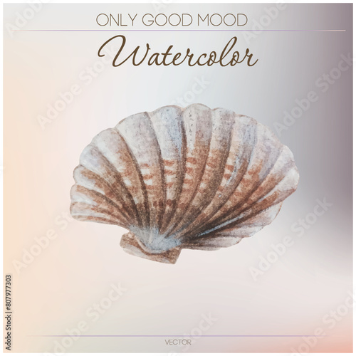 Watercolor sea shell. Warm beige background. Watercolor for cards and printing.