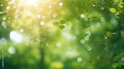  green bokeh with sun rays shining through trees, 