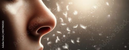 Allergy Season: Allergen Dandelion Seeds and a Human Nose Close-Up