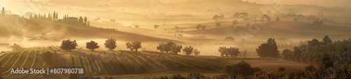 Misty Tuscan Countryside  Endless Fields  Olive Trees  Vineyards