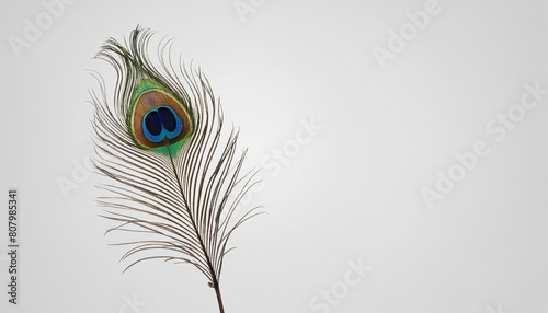 Generative AI creates a photorealistic image of an isolated peacock feather with a transparent background and copy space 