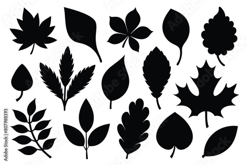 Set of leaf black Silhouette Design with white Background and Vector Illustration