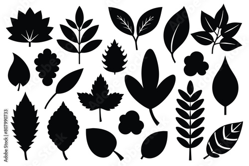 Set of leaf black Silhouette Design with white Background and Vector Illustration