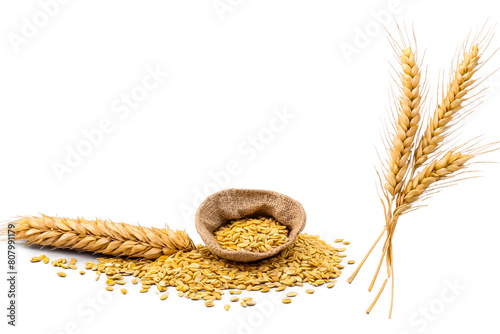 Wheat stalks with grains on white background