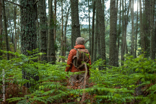 Middle-aged Caucasian man with backpack facing the forest, love for nature and sustainability. Shot from behind