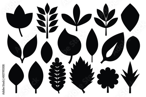 Set of leaf black Silhouette Design with white Background and Vector Illustration