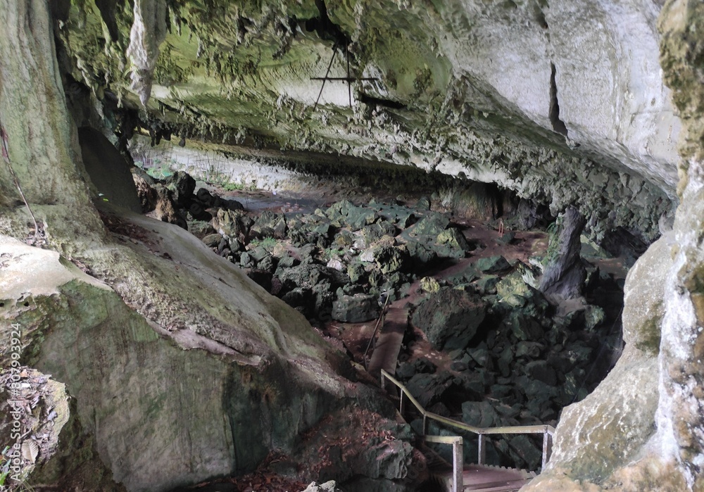 old cave in the forest