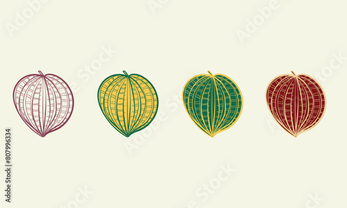 vector simple handdraw lineart in retro style. botanical leaves autumn theme. vintage illuatration for nature, pattern, logo, floral product, design 