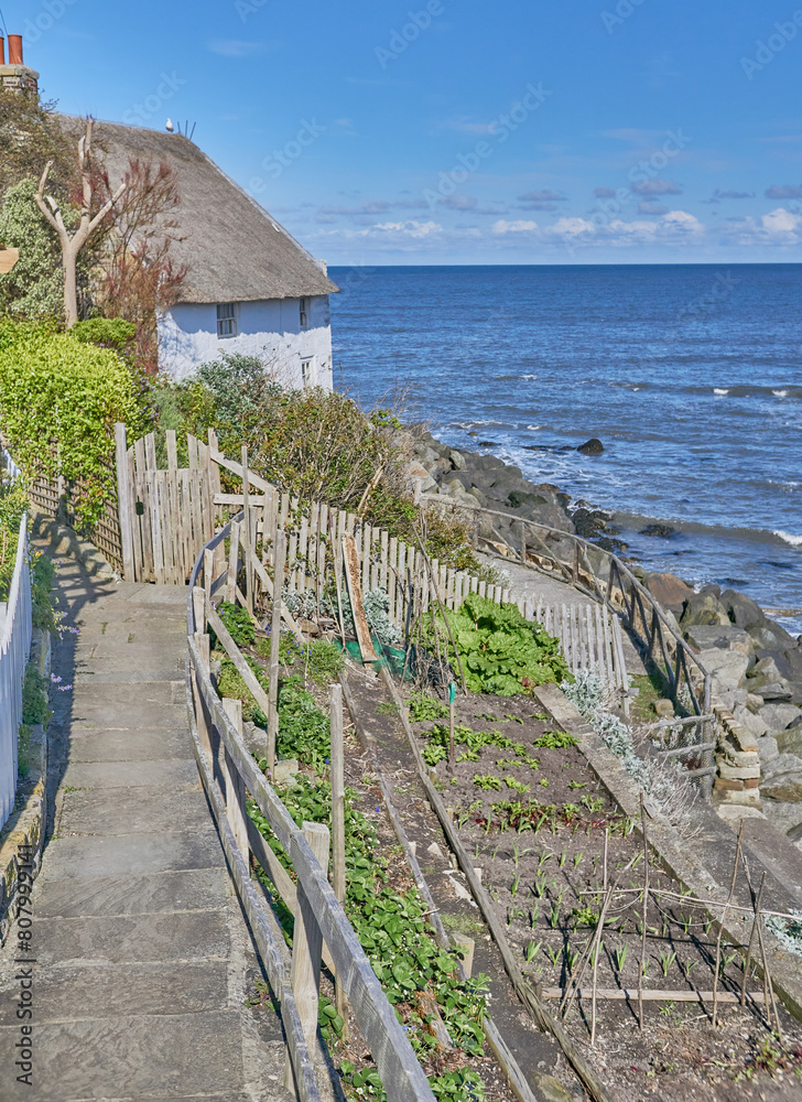 Vegetable garden on the Yorkshire coast Vegetable garden on the Yorkshire coast