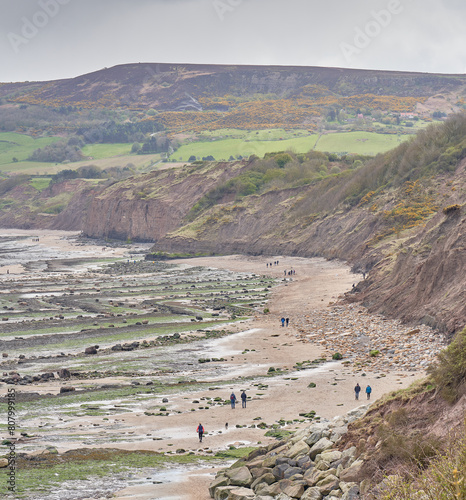 Fotografie The Yorkshire coast with moorland and eroding cliffs