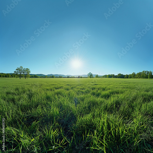 A large  grassy hillside with a bright sun shining on it