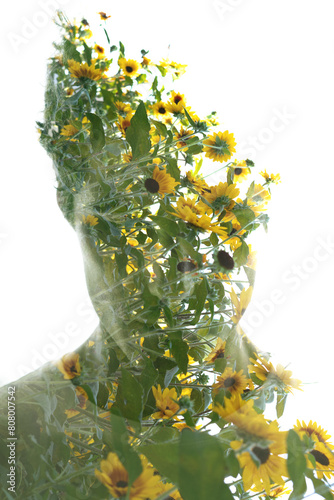 A double exposure full front portrait disappearing into sunflowers photo