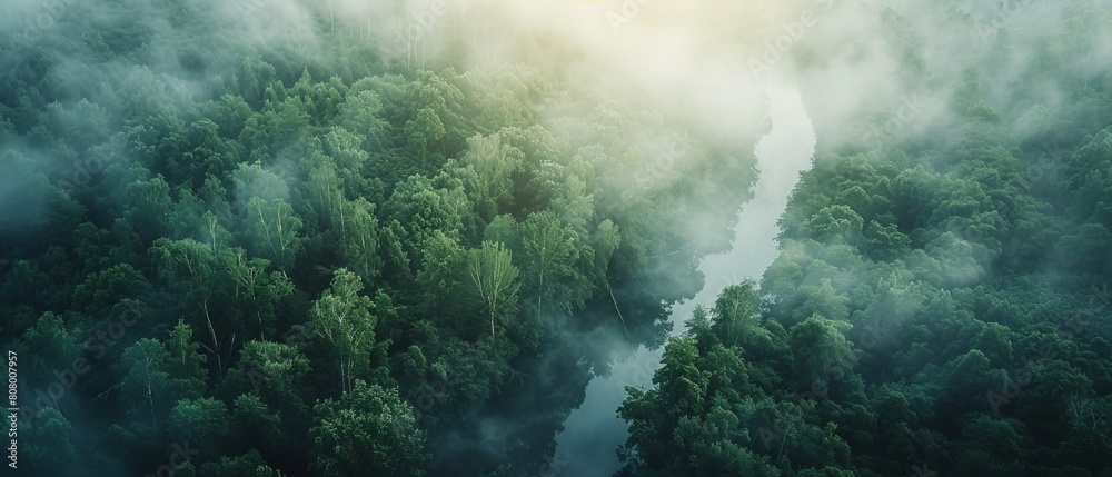 The image shows a lush green rainforest with a river running through it