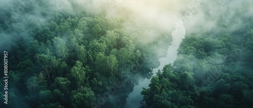The image shows a lush green rainforest with a river running through it