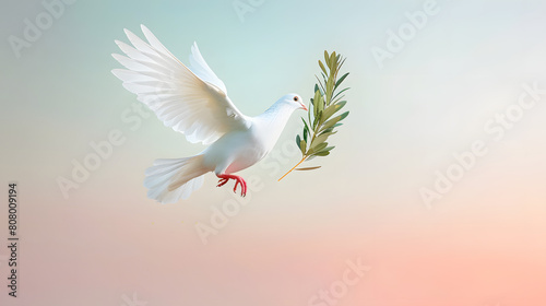 Wallpaper Mural white dove or white pigeon carrying olive leaf branch on pastel background and clipping path and international day of peace Torontodigital.ca
