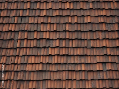 roof tiles on the roof