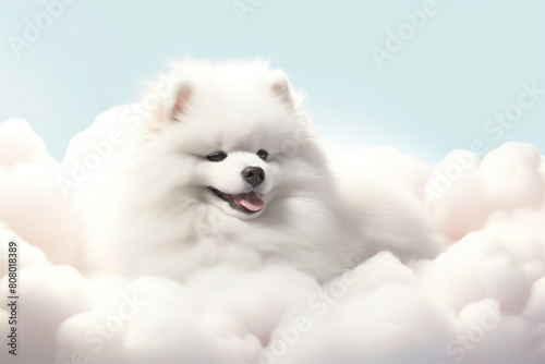 A hyperrealistic 3Drendered fluffy dog resting on a pastel cloud, volumetric lighting, isolated on white