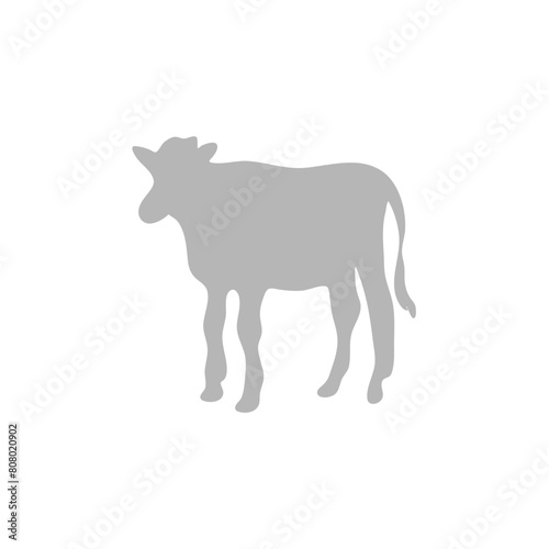 Cow Sacrificial Animal for Eid al-Adha