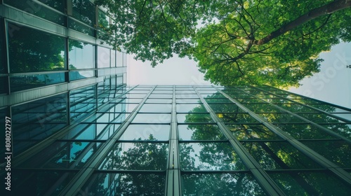 Looking up at a modern glass skyscraper with green trees reflecting in the windows