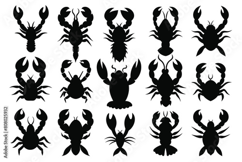 Set of Lobster black Silhouette Design with white Background and Vector Illustration
