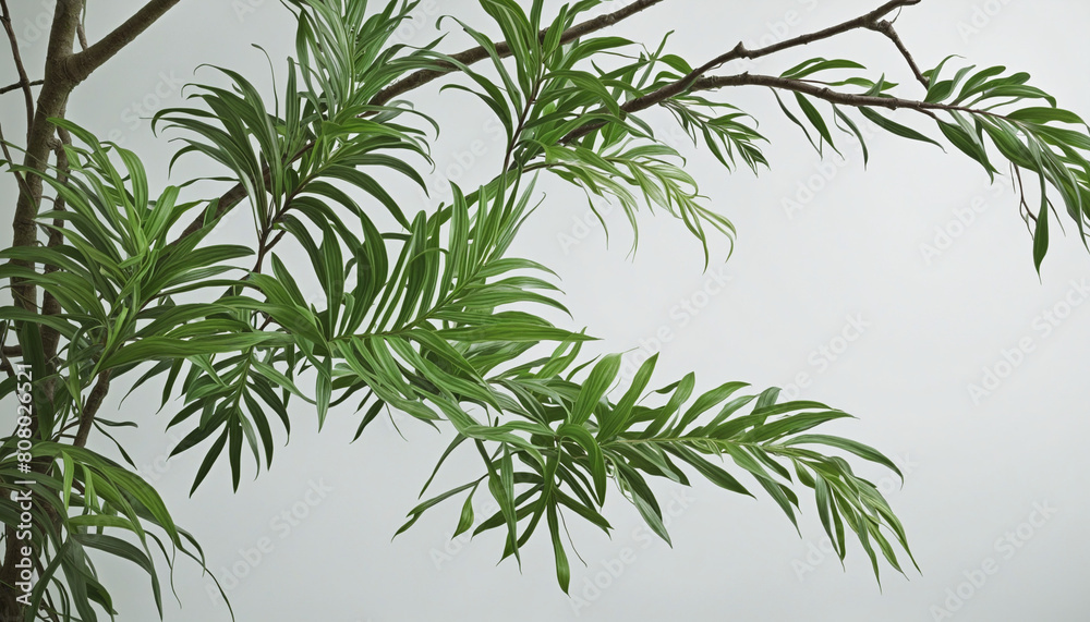 Enchanting Tropical Jungle Foliage Growth in AI-Generated Surreal Artwork Enchanting Tropical Jungle Foliage Growth in AI-Generated Surreal Artwork