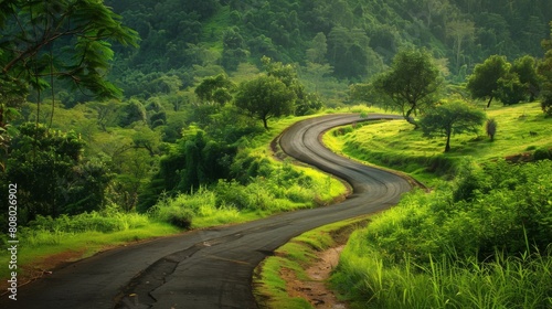 A serene countryside road winding through lush greenery, inviting exploration © Plaifah
